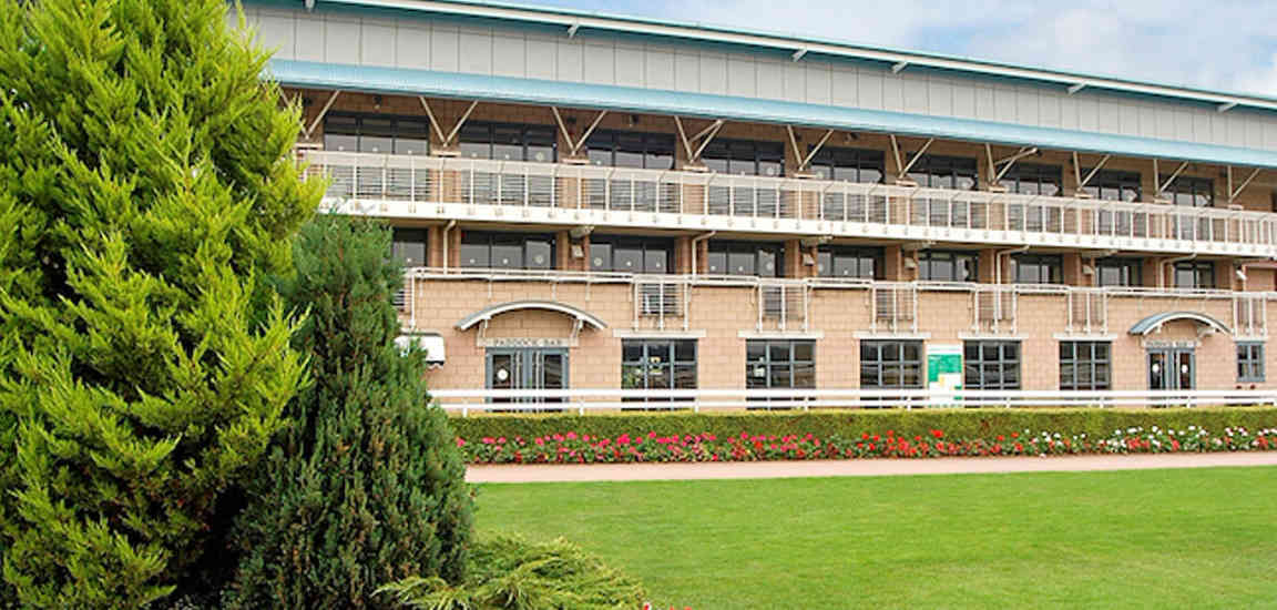 Main 3982 Image1 (1)