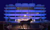 Epsom Downs 45924351904 O