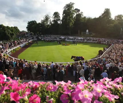 The Parade Ring Sandown Park 46904554661 O