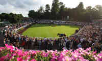 The Parade Ring Sandown Park 46904554661 O