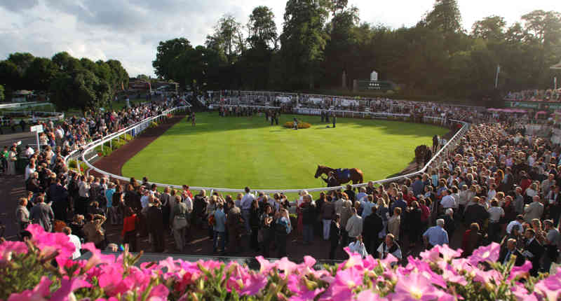 The Parade Ring Sandown Park 46904554661 O