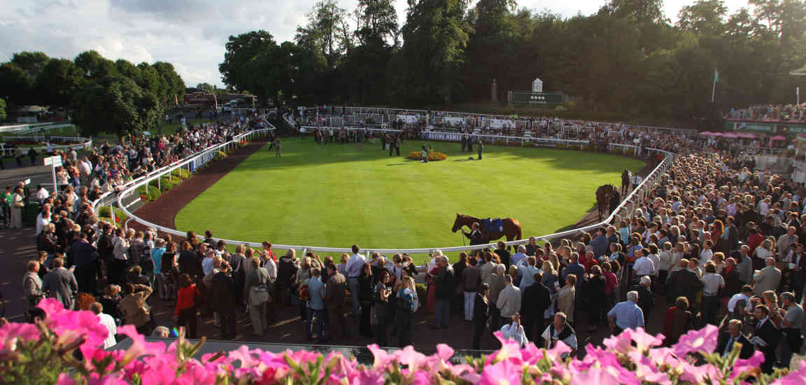 The Parade Ring Sandown Park 46904554661 O