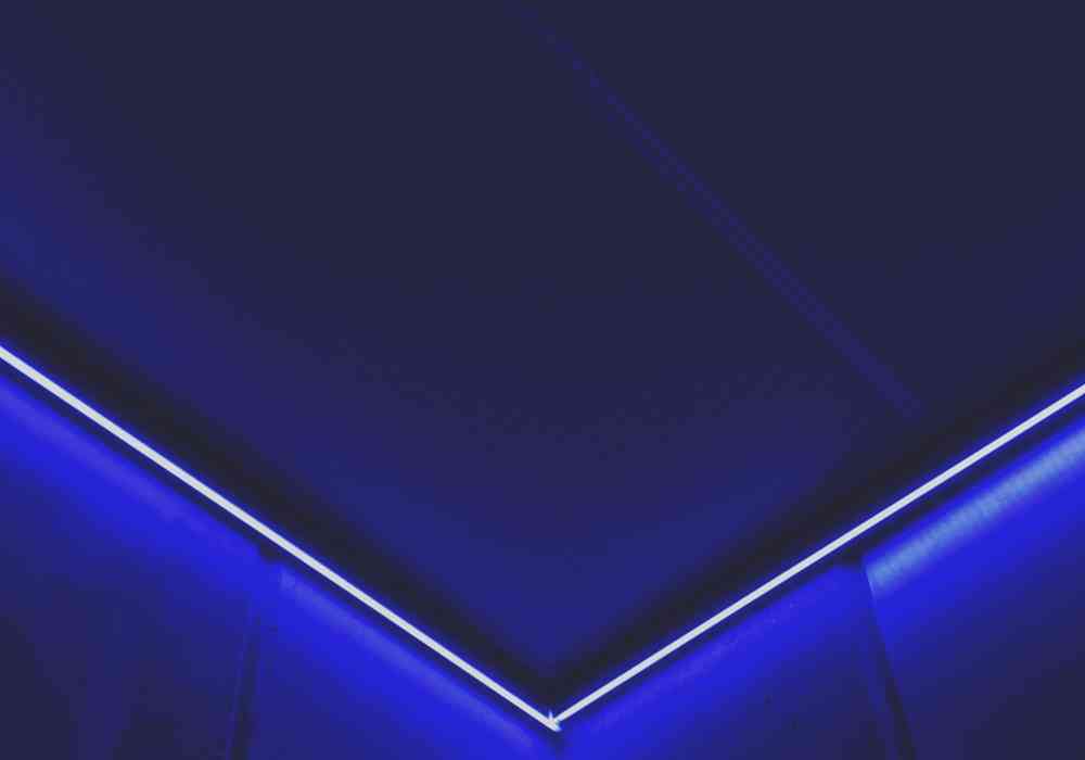 Lotte Fleur Tcq5jqnisr0 Unsplash