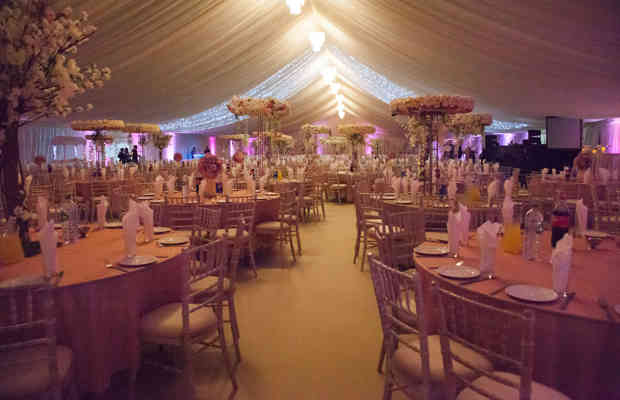 Img 9837 46870398511 O