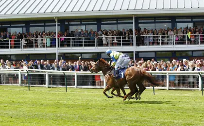 Nottingham Racecourse Horses 32005483207 O