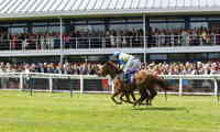 Nottingham Racecourse Horses 32005483207 O
