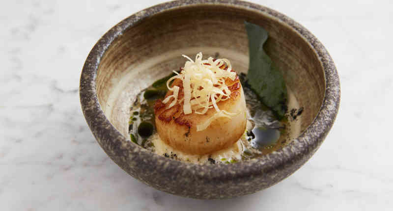 210511 RA FD Handdivedscallops 101