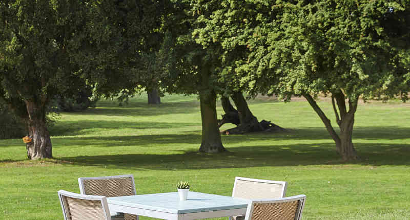 30137966307 Be3d894460 O 46535005682 O