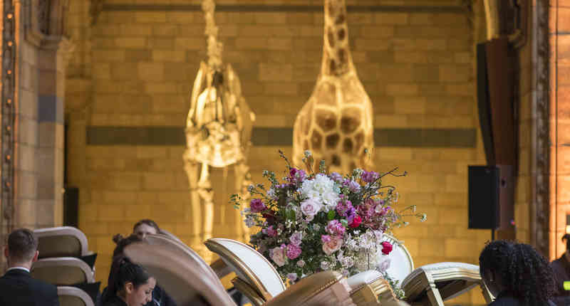 Hintze Hall Set Up Natural History Museum 32984905978 O