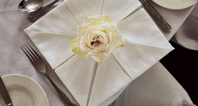 45074191851 Be8d0a9295 O 45672775625 O