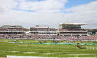 Aintree Racecourse 39683119293 O