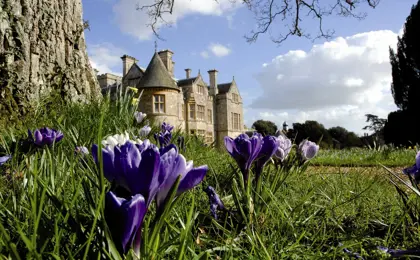 Bluebells At Beaulieu 45922970975 O
