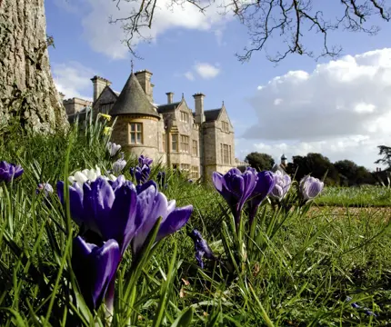 Bluebells At Beaulieu 45922970975 O