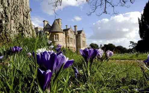 Bluebells At Beaulieu 45922970975 O