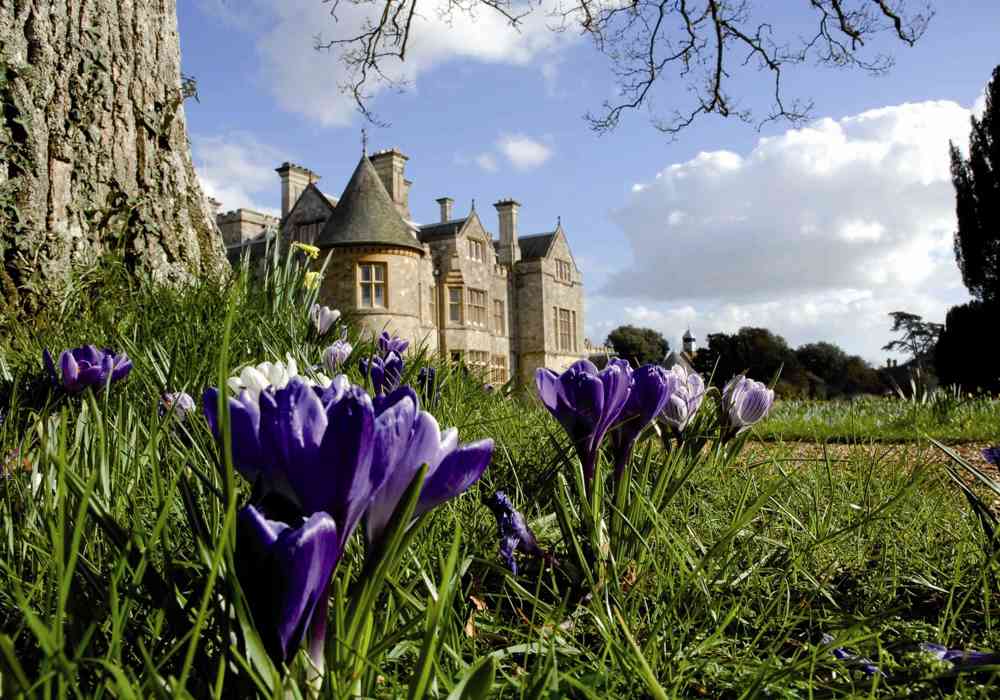 Bluebells At Beaulieu 45922970975 O
