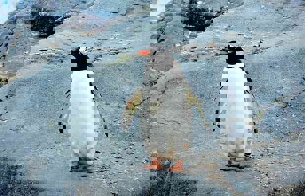 Jay Ruzesky 9Ztafgvsv C Unsplash