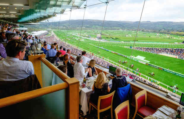 Slh Cheltenham Festival Grandstand Panorama 39683311873 O