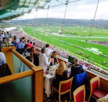 Slh Cheltenham Festival Grandstand Panorama 39683311873 O