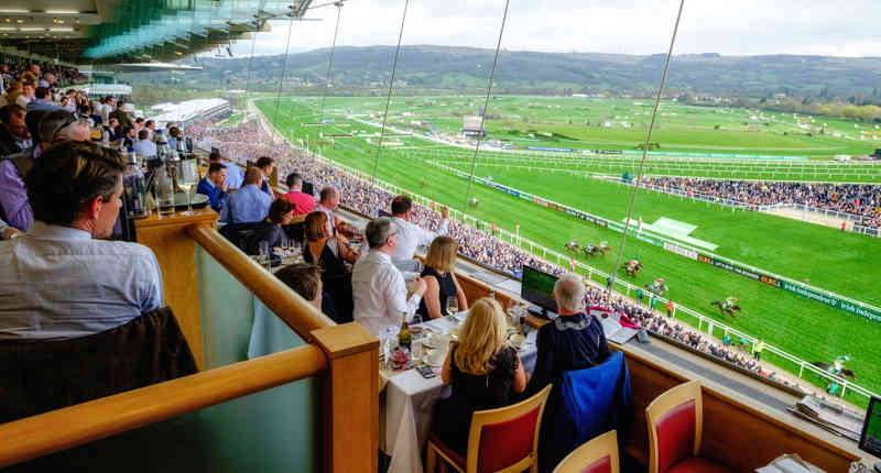 Slh Cheltenham Festival Grandstand Panorama 39683311873 O