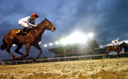 Awt View Of Grandstand At Kempton Park Racecourse 46145479364 O