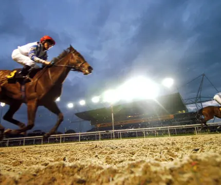 Awt View Of Grandstand At Kempton Park Racecourse 46145479364 O